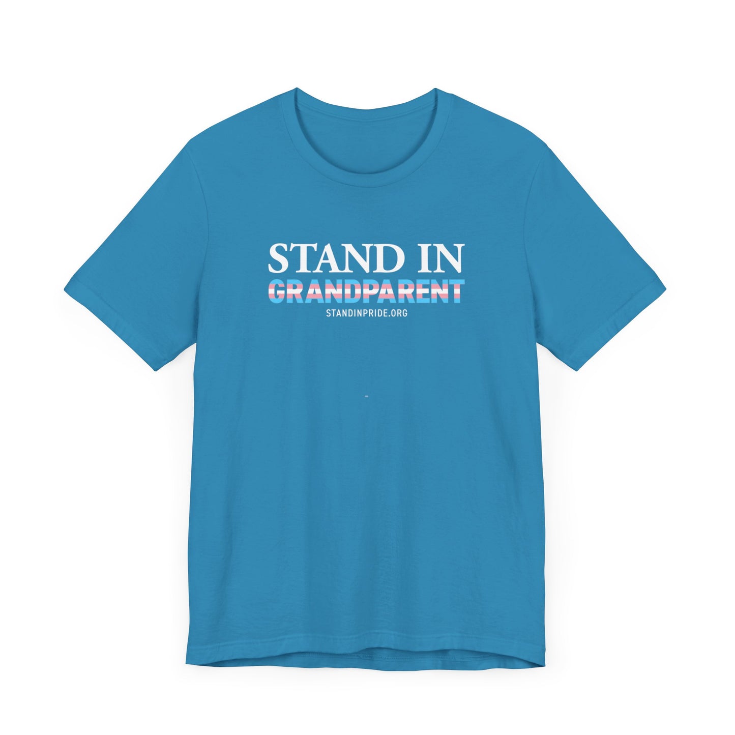 Stand In Grandparent Trans Flag Tee