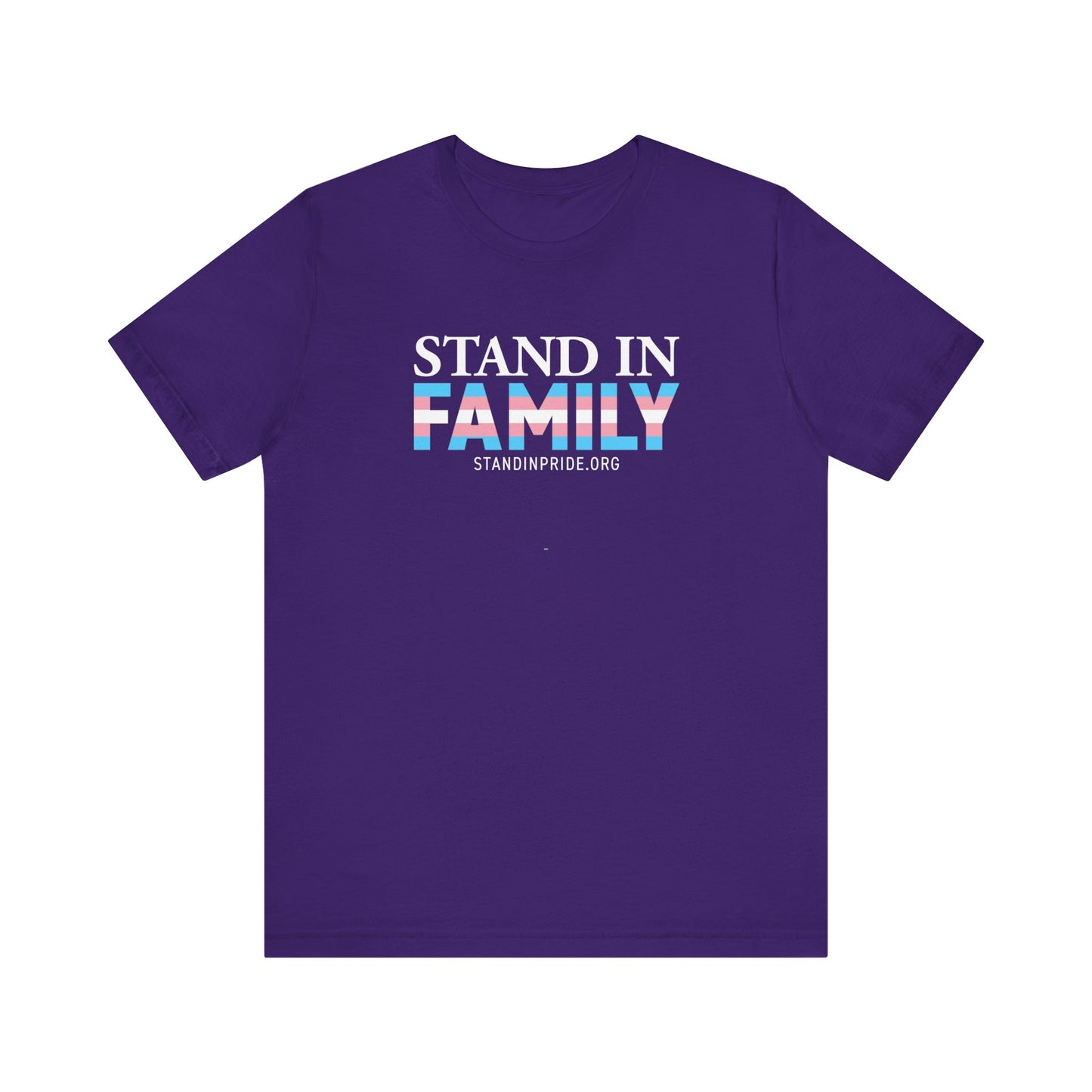 Stand In Family Trans Flag Tee