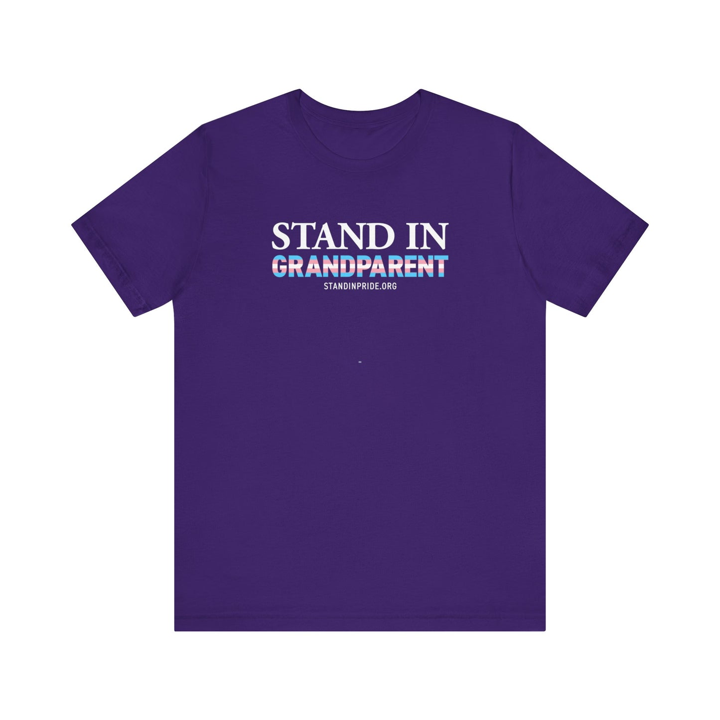 Stand In Grandparent Trans Flag Tee