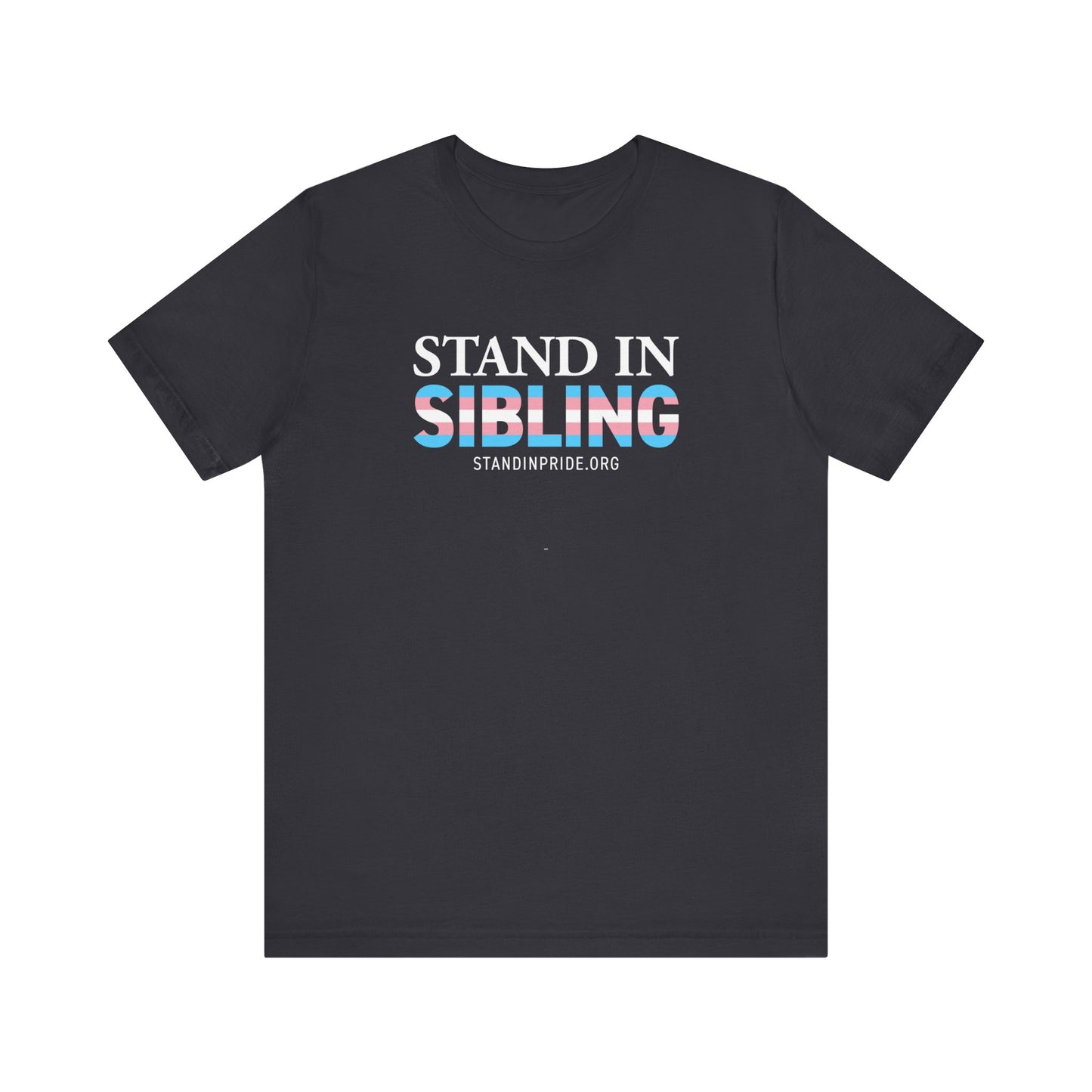 Stand In Sibling Trans Flag Tee