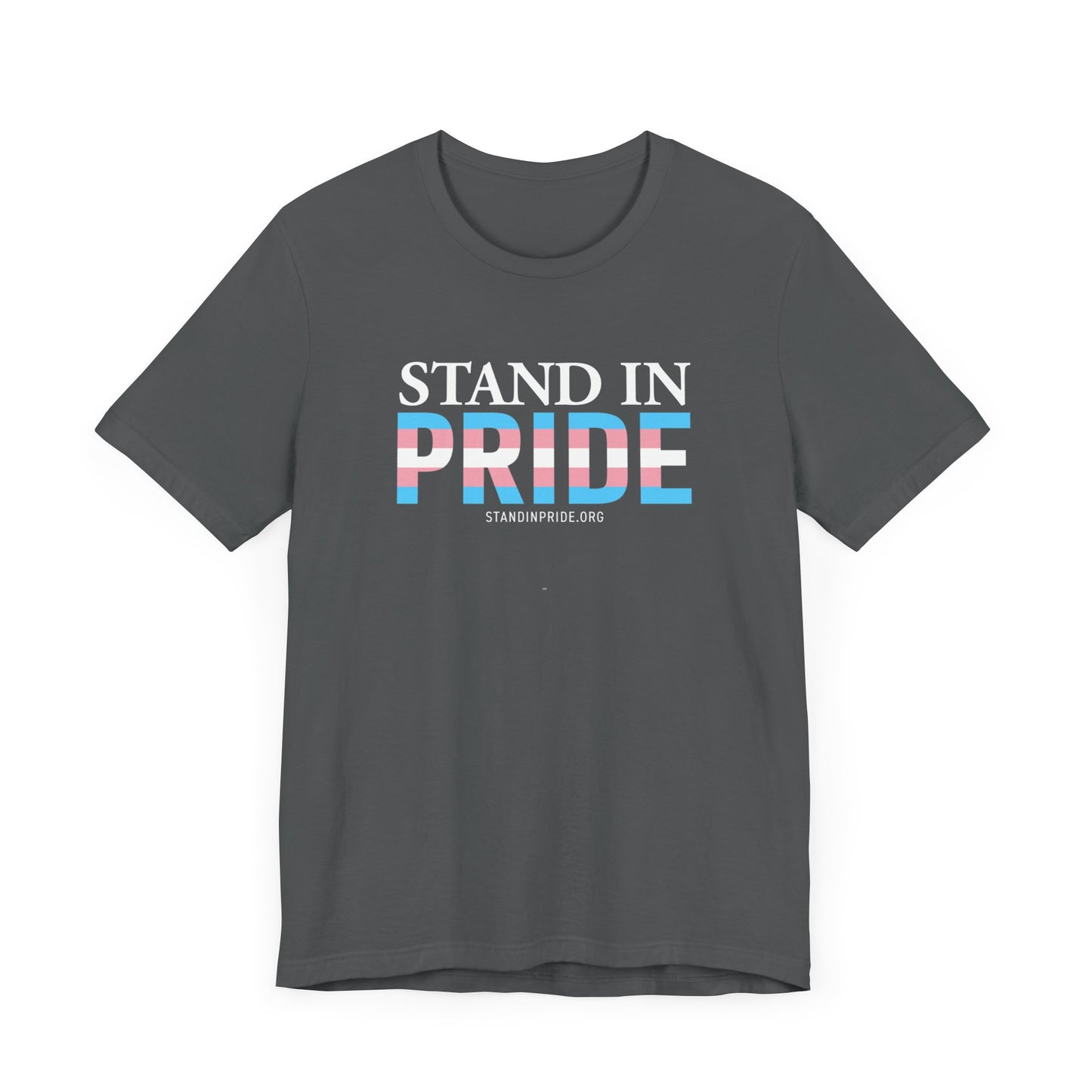 Stand In Pride Trans Flag Tee