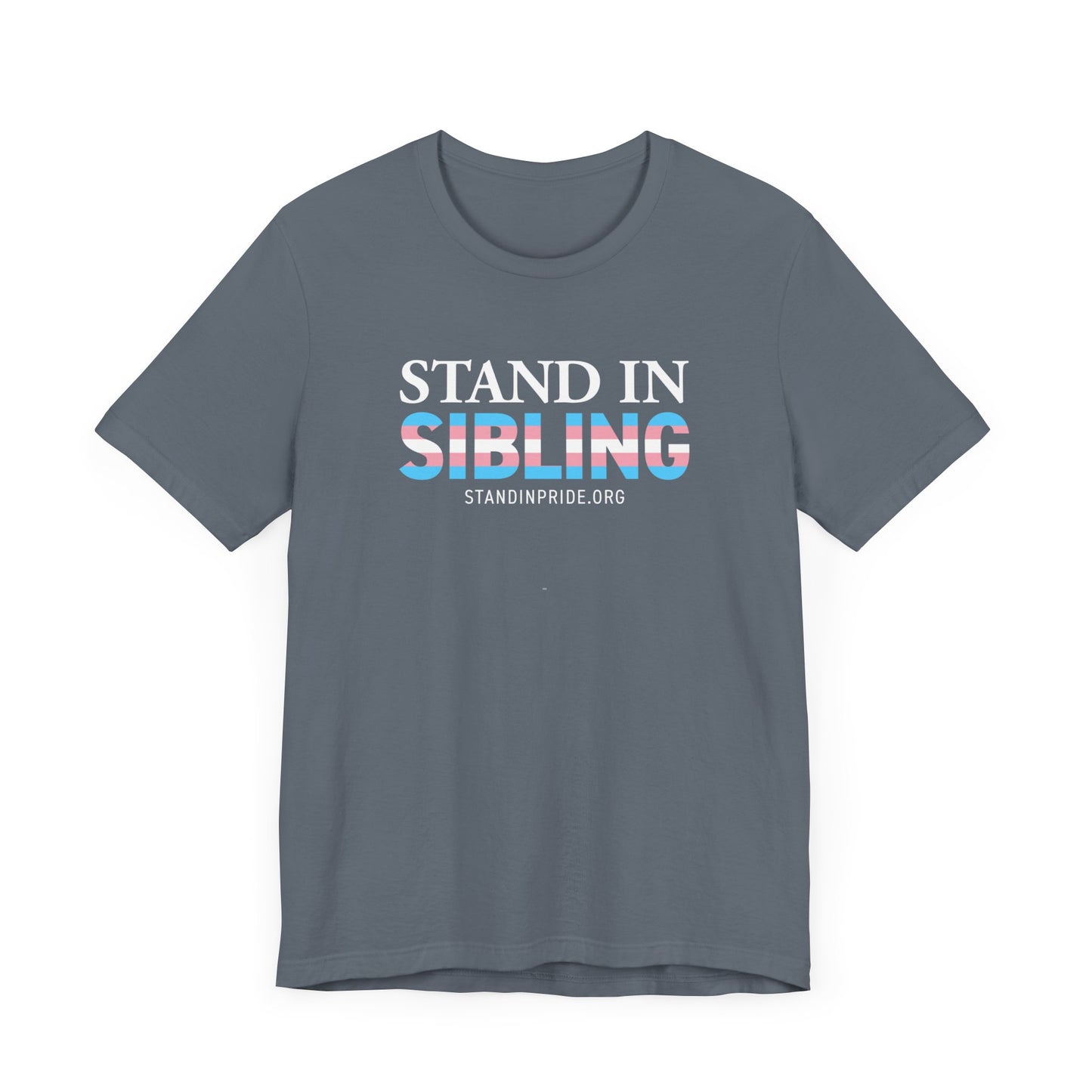 Stand In Sibling Trans Flag Tee