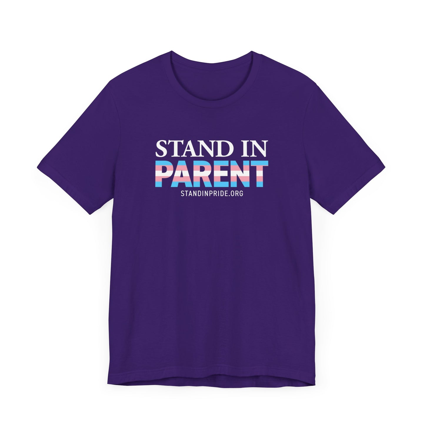 Stand In Parent Trans Flag Tee