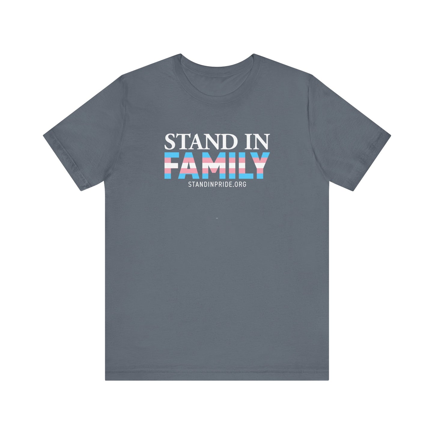 Stand In Family Trans Flag Tee