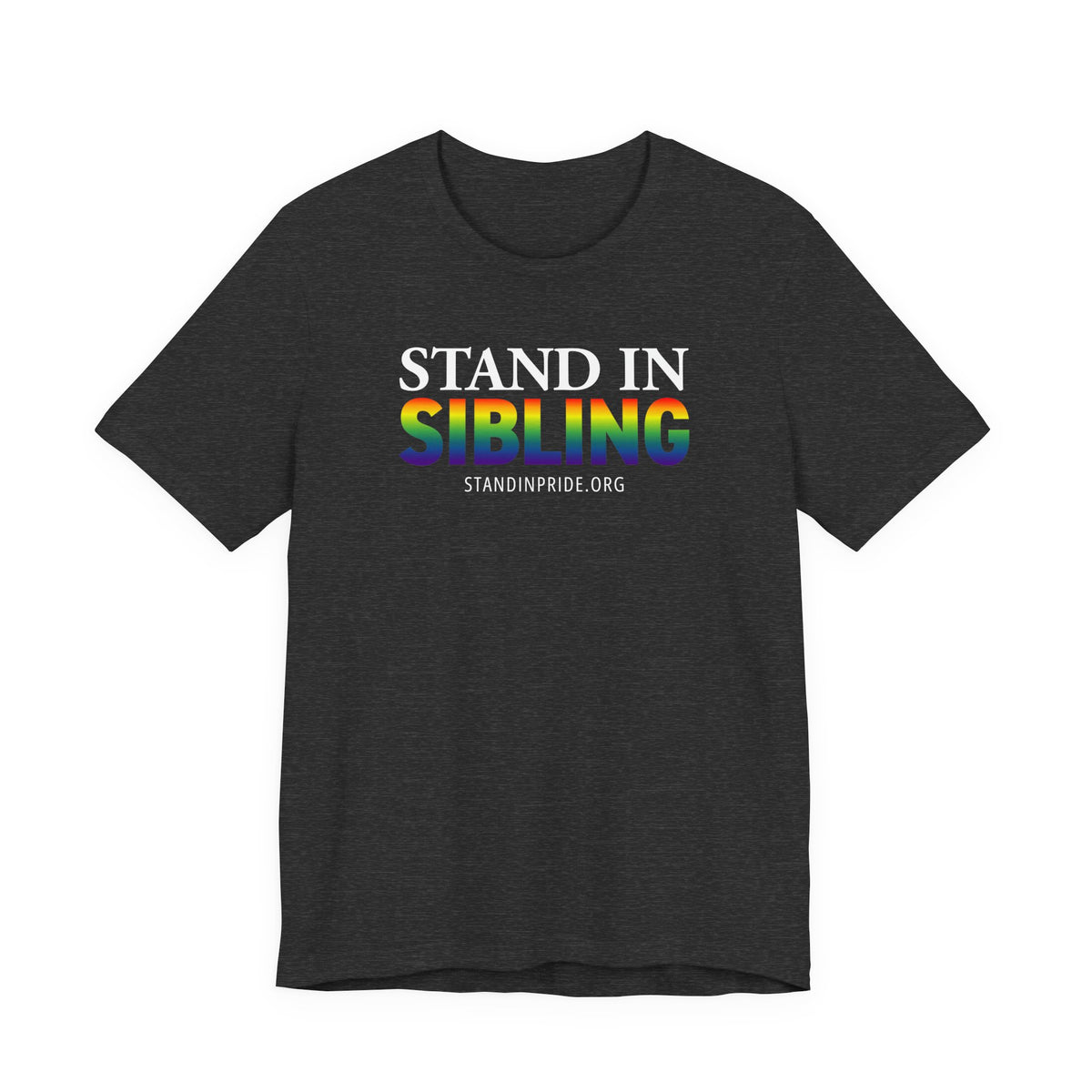 Stand In Sibling - Pride Tee