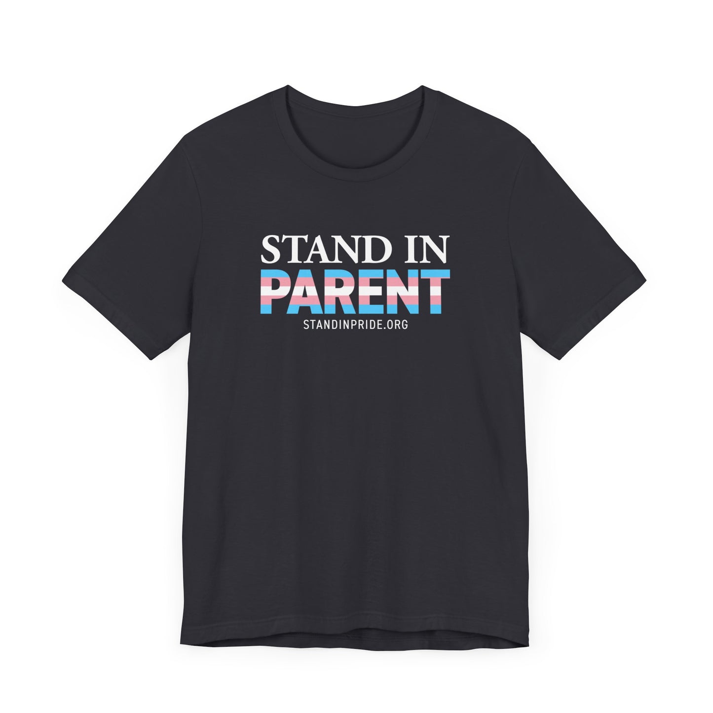 Stand In Parent Trans Flag Tee