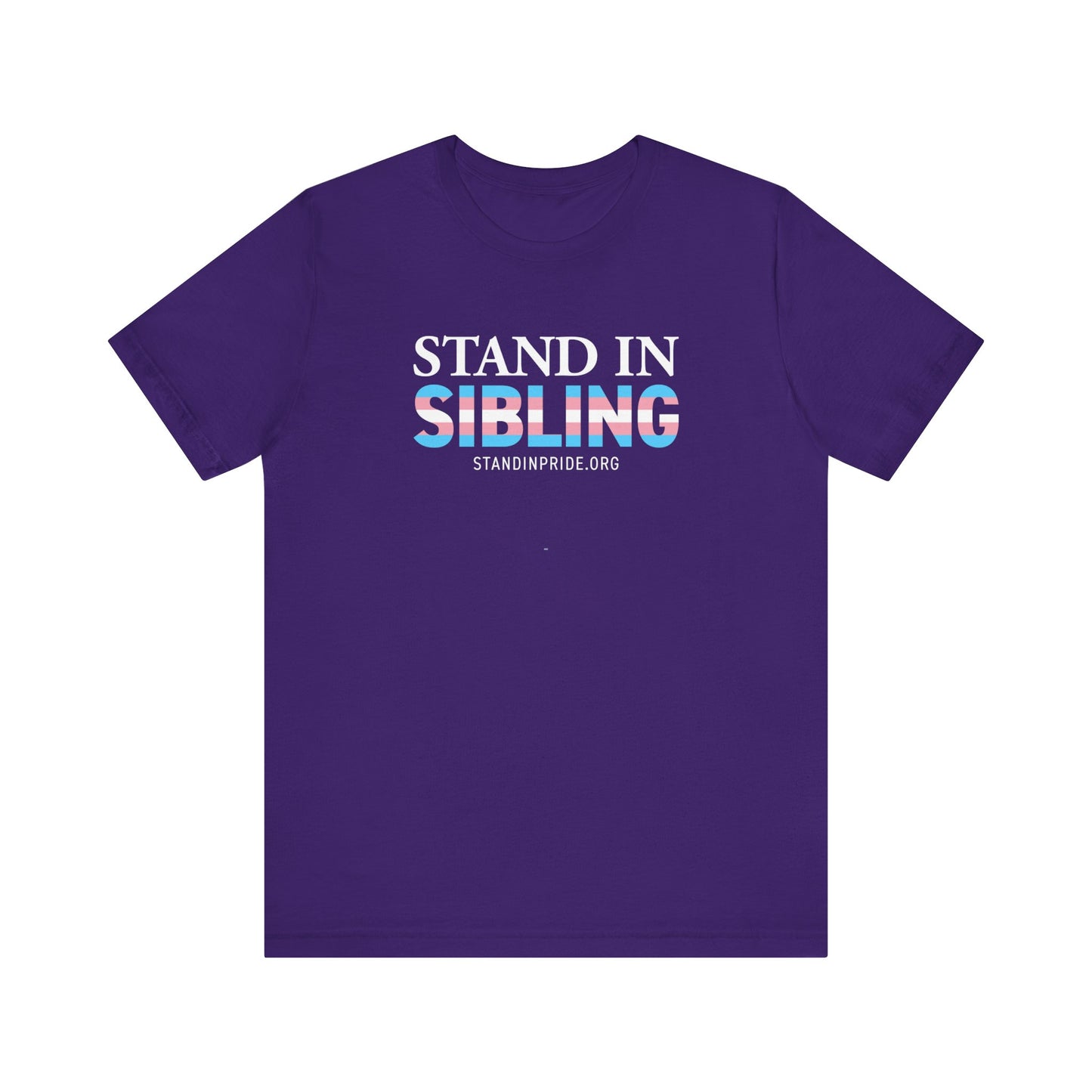 Stand In Sibling Trans Flag Tee