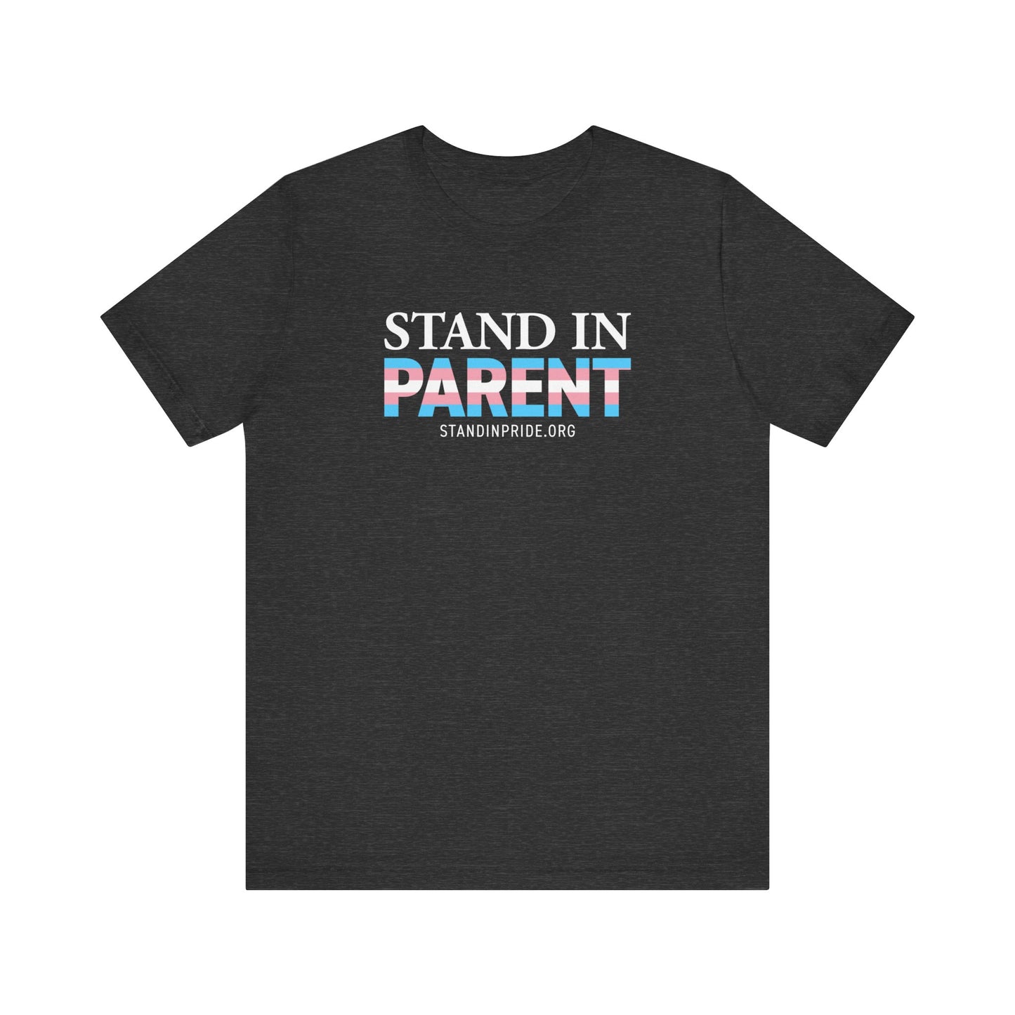 Stand In Parent Trans Flag Tee