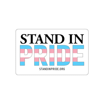 Stand In Pride Trans Flag Sticker