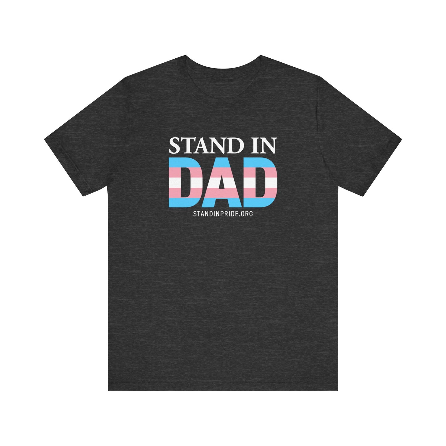 Stand In Dad Trans Flag Tee