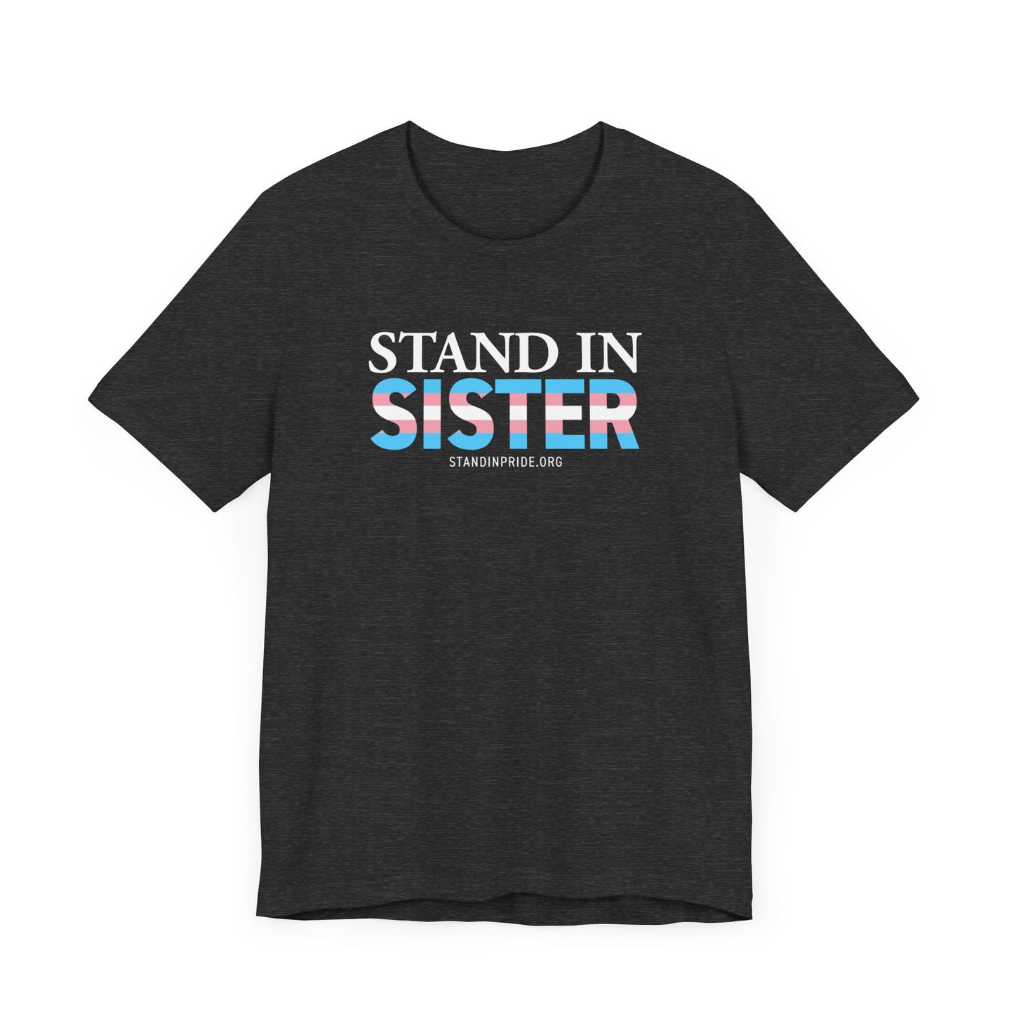 Stand In Sister Trans Flag Tee