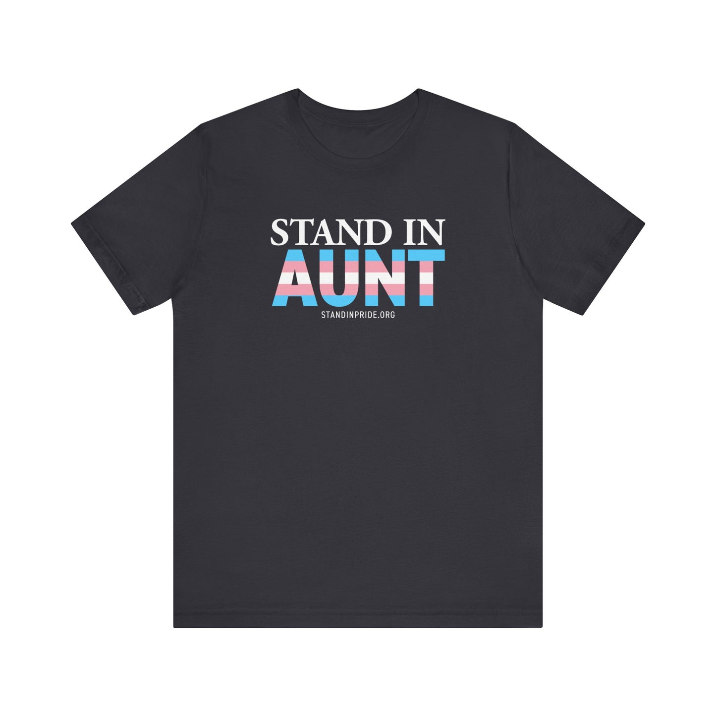 Stand In Aunt Trans Flag Tee