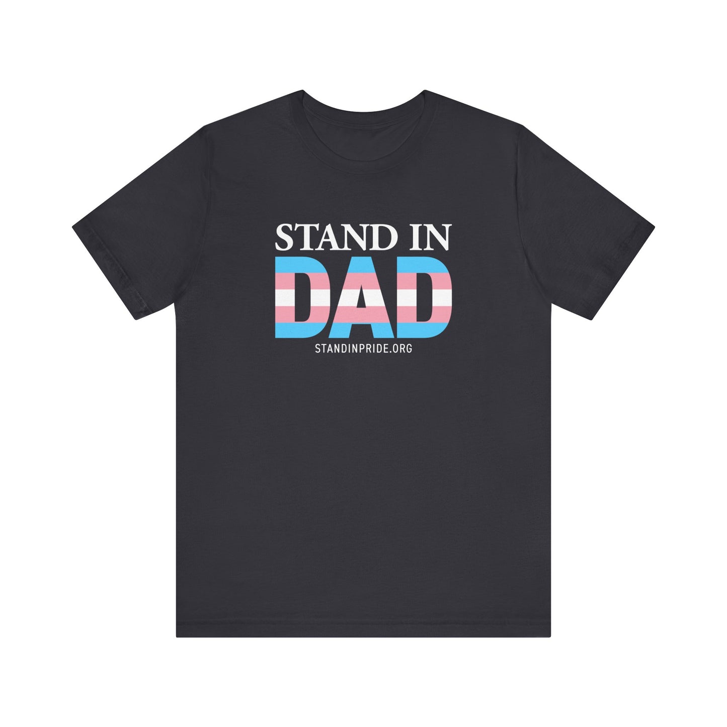 Stand In Dad Trans Flag Tee