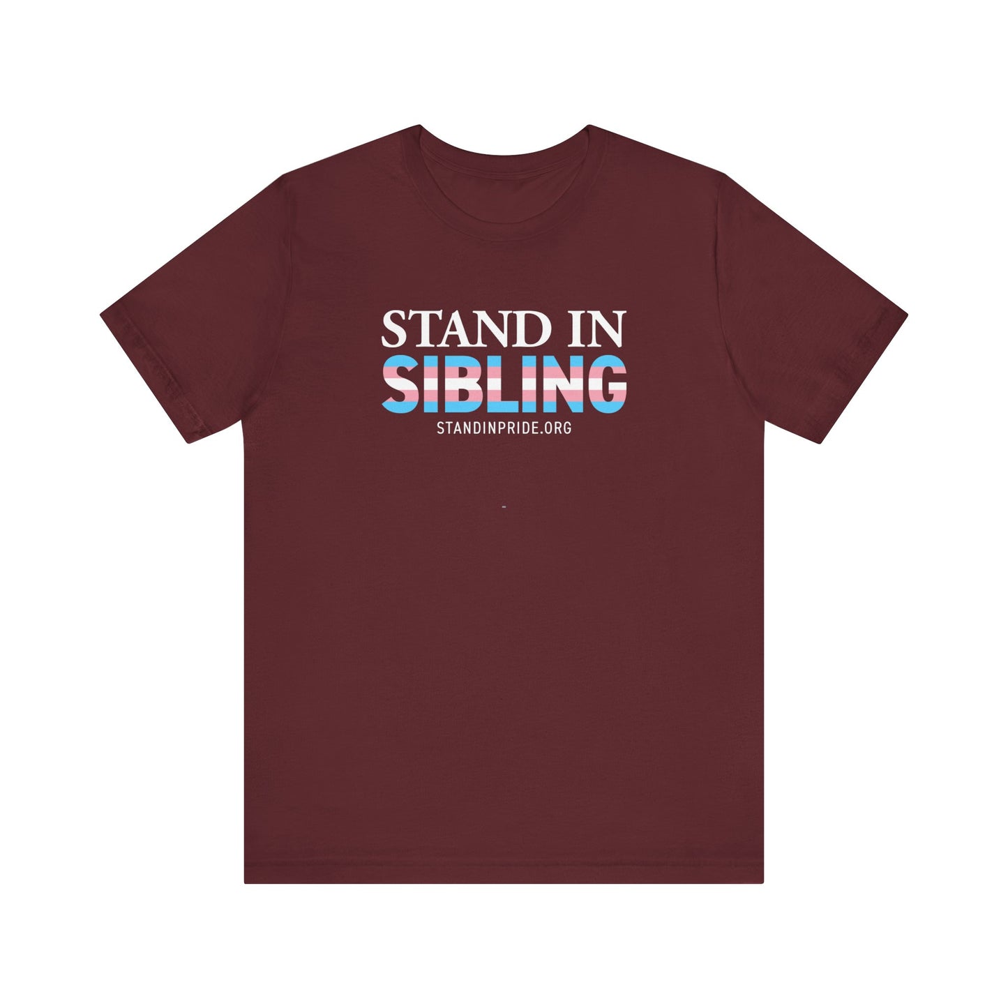 Stand In Sibling Trans Flag Tee