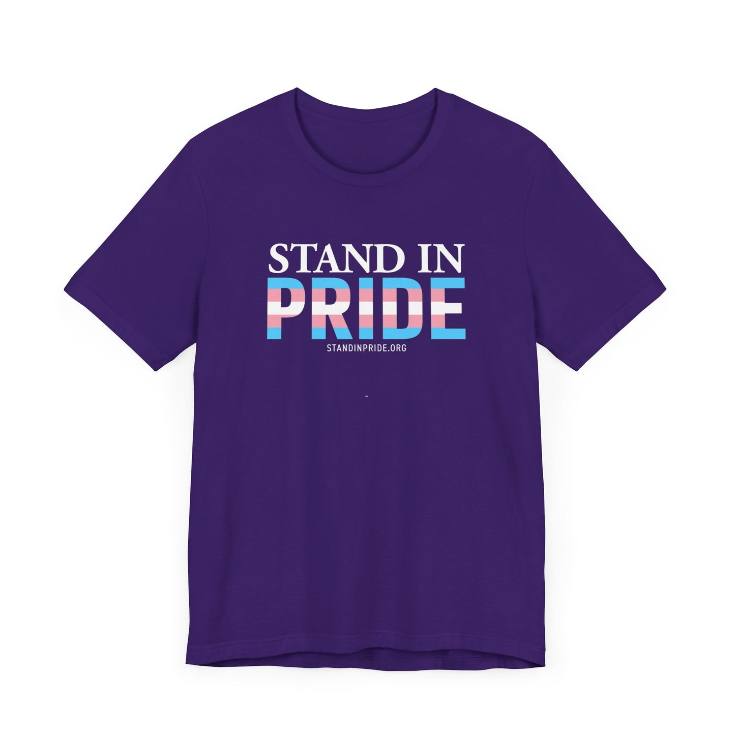 Stand In Pride Trans Flag Tee