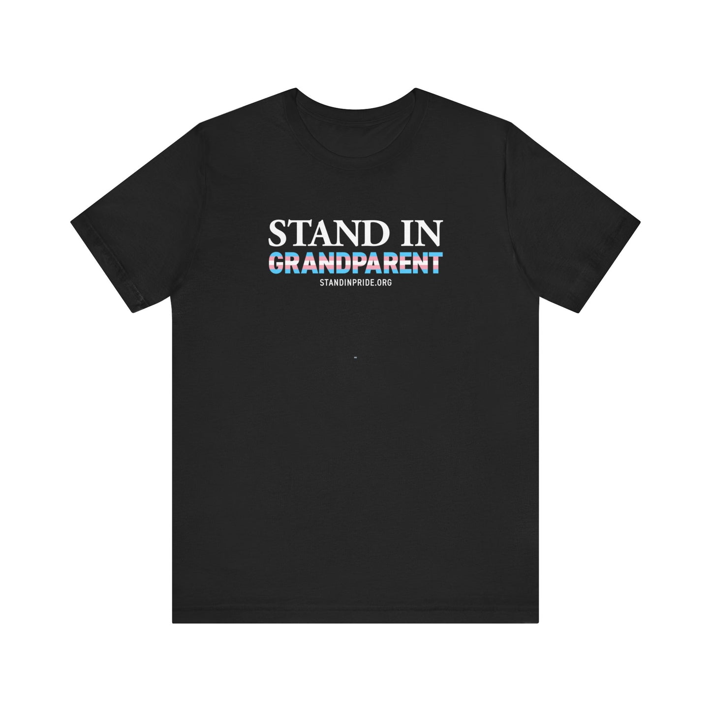 Stand In Grandparent Trans Flag Tee