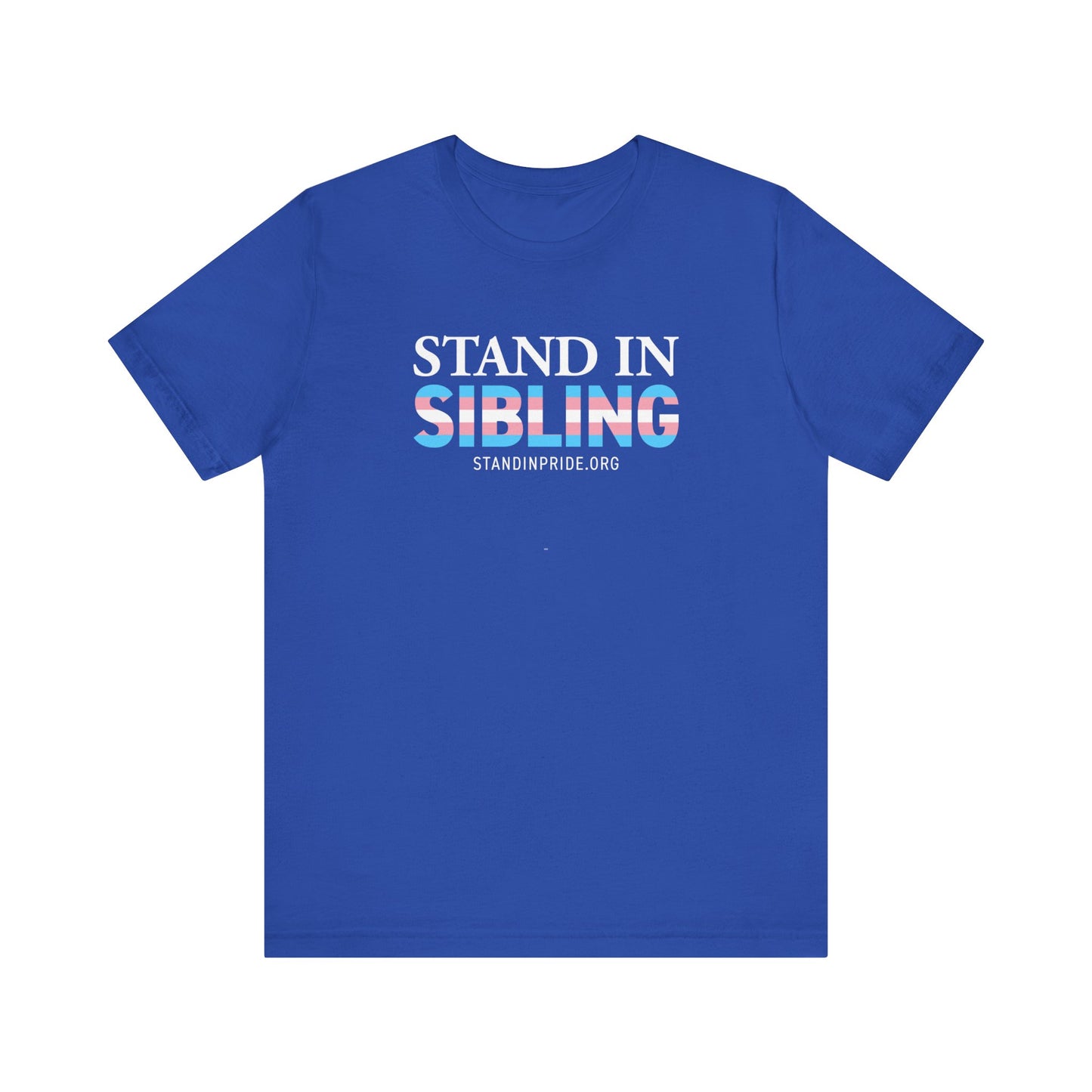 Stand In Sibling Trans Flag Tee