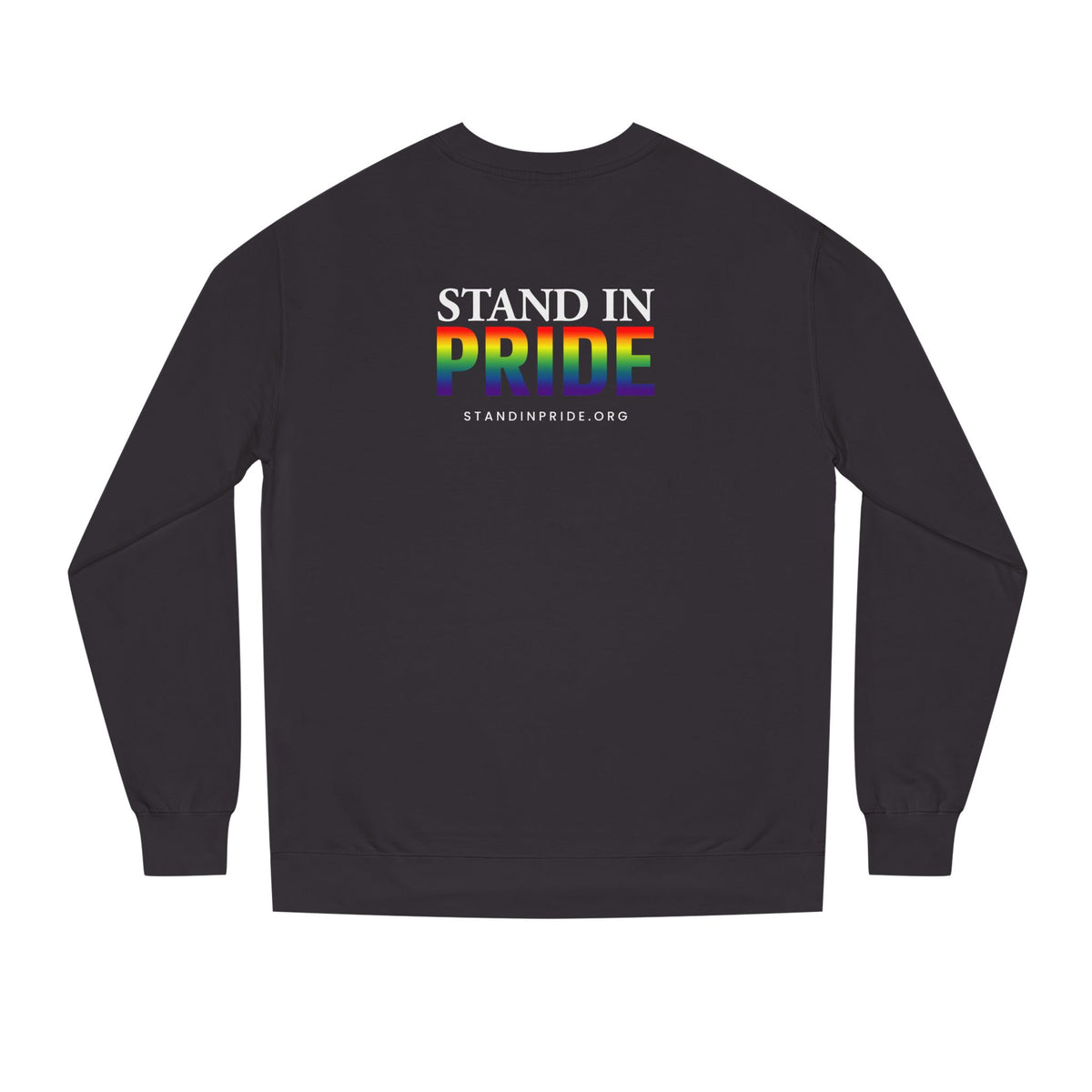 If Your Family Won't, I Will Stand In Pride Sweatshirt