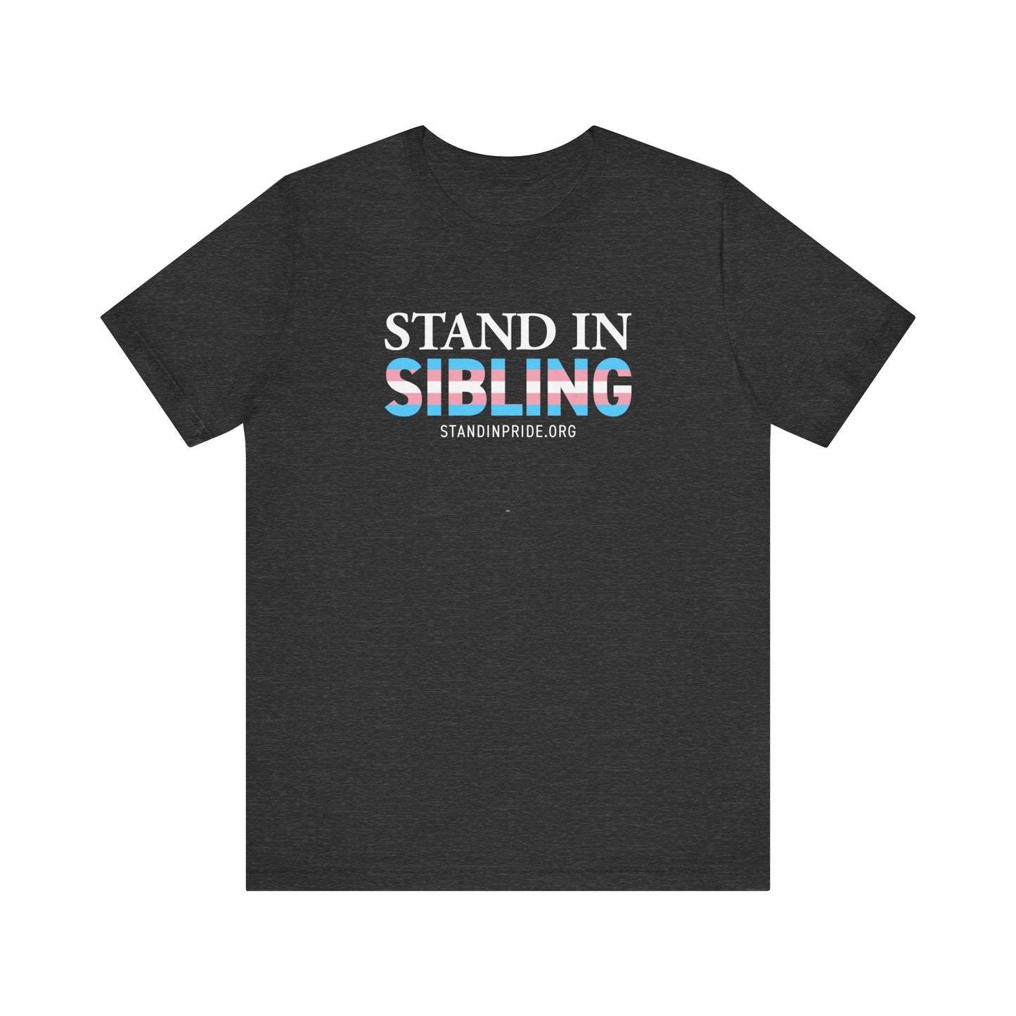 Stand In Sibling Trans Flag Tee