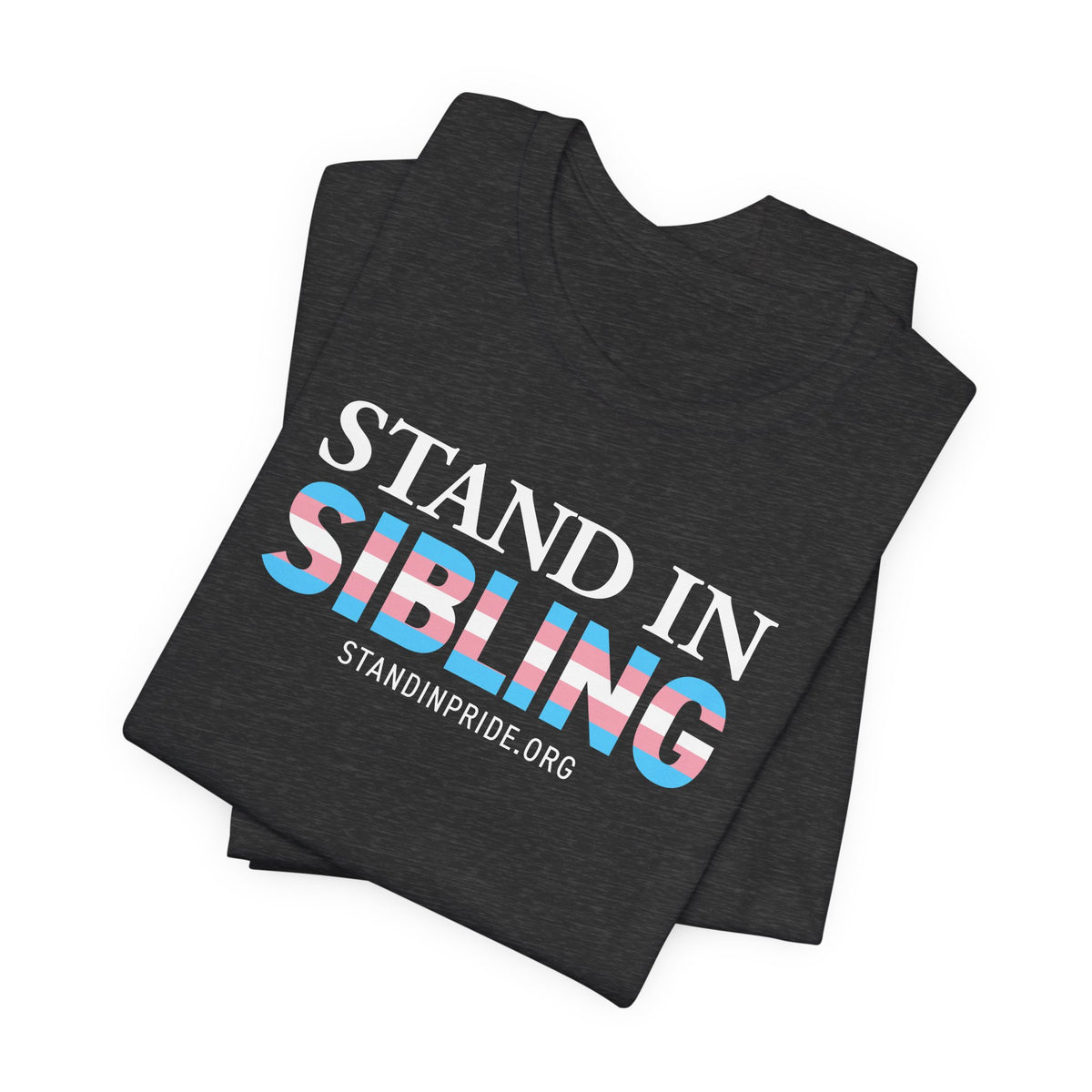 Stand In Sibling - Trans Pride Tee