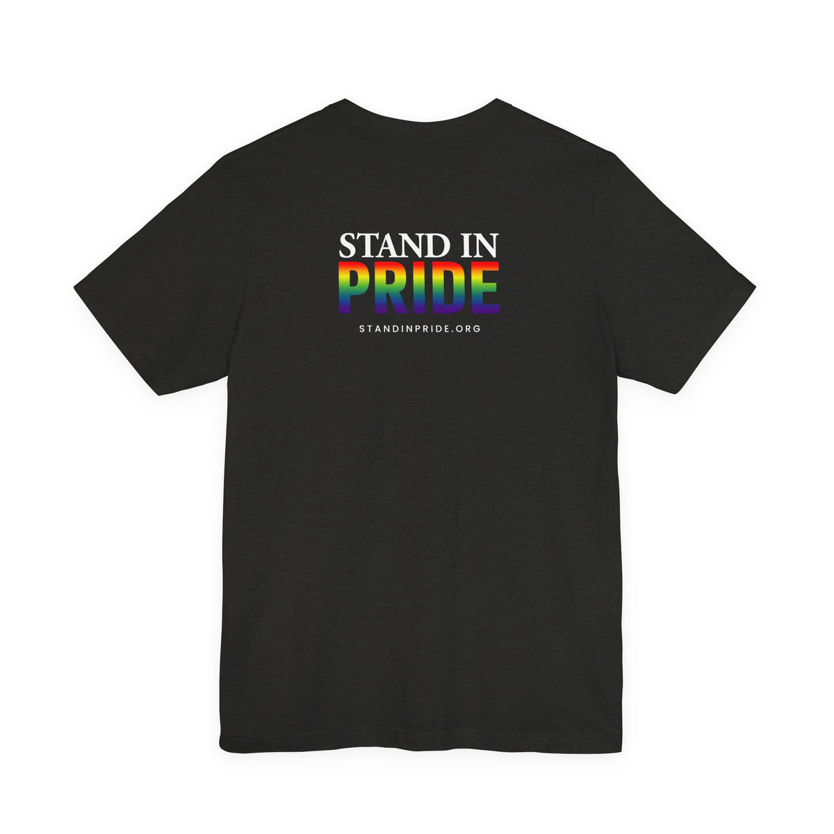 If your family won't...I will Pride T-Shirt