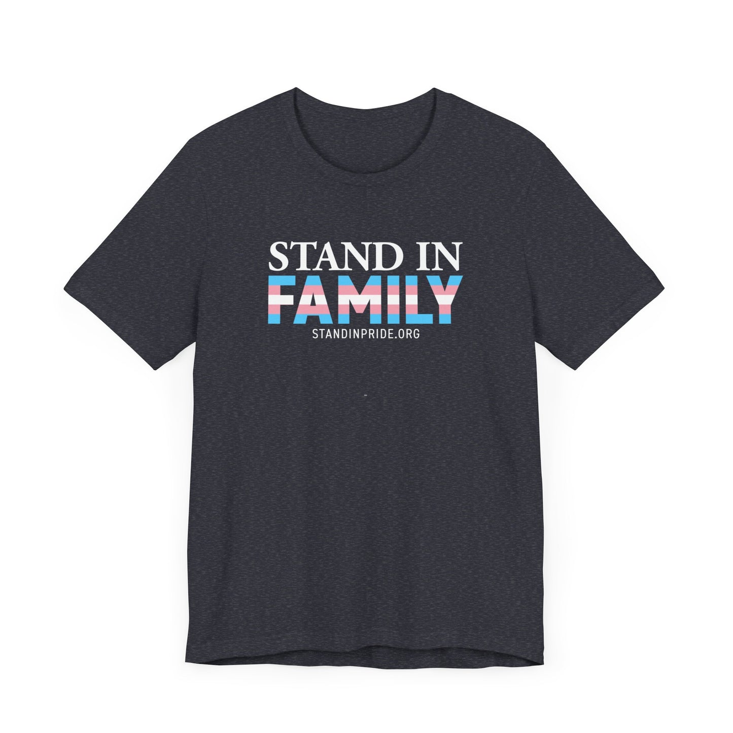 Stand In Family Trans Flag Tee