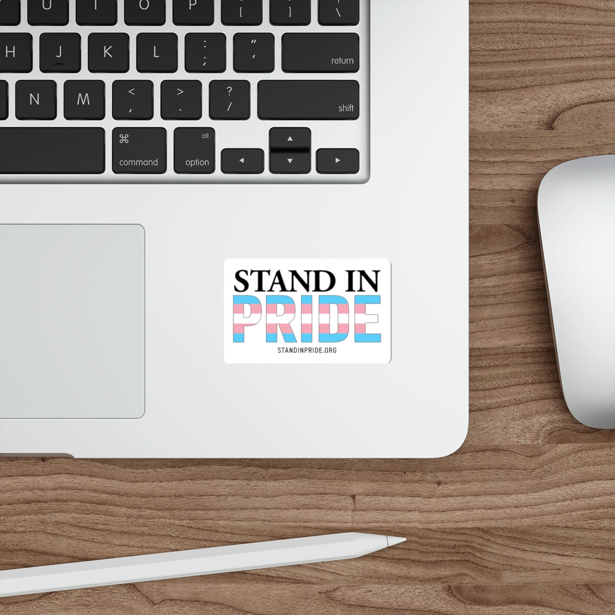 Stand In Pride Trans Flag Sticker