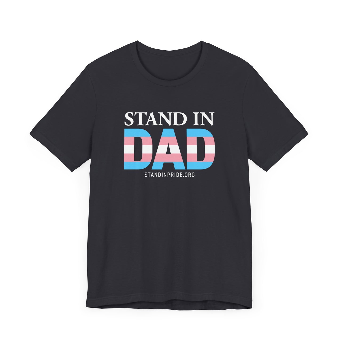 Stand In Dad Trans Flag Tee