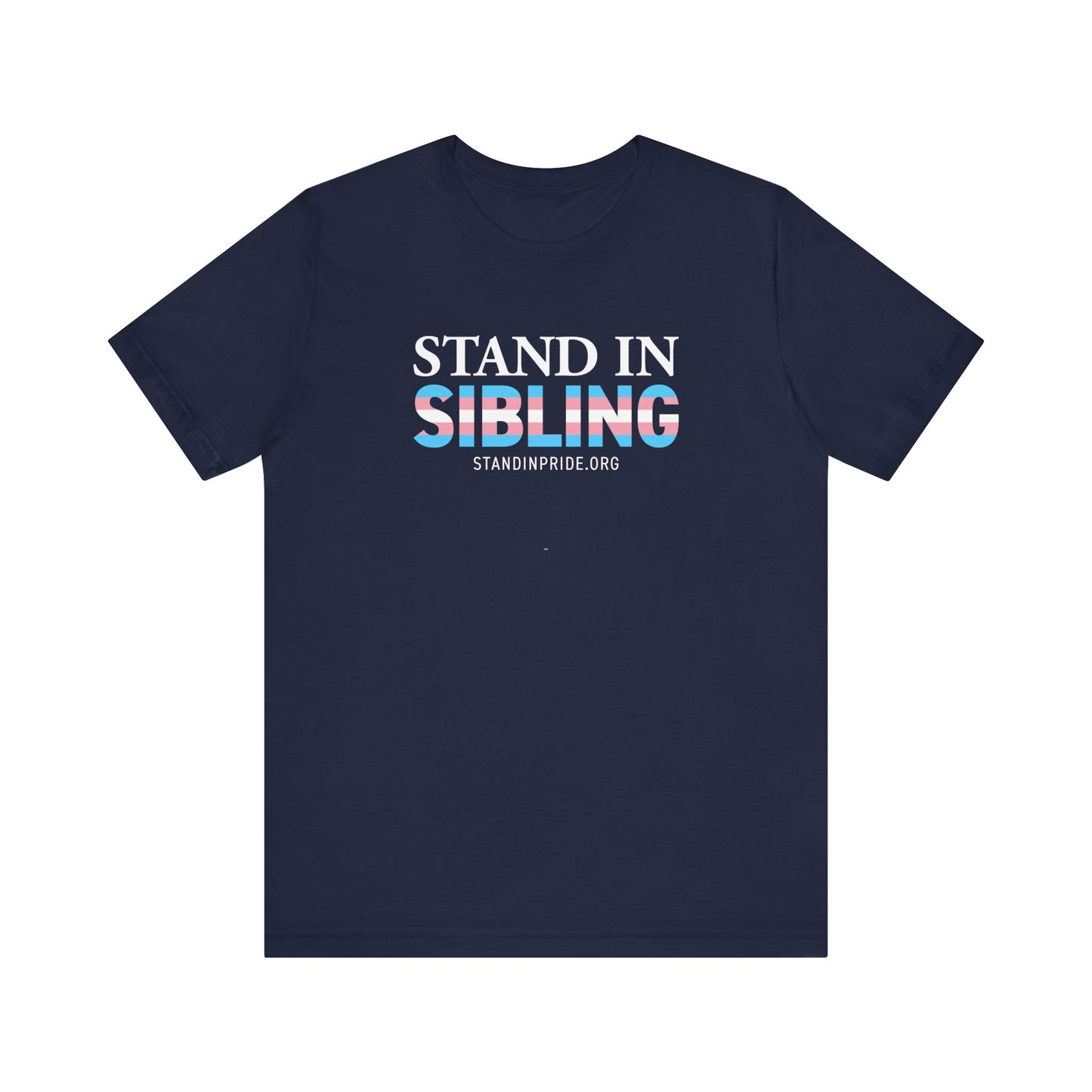 Stand In Sibling Trans Flag Tee