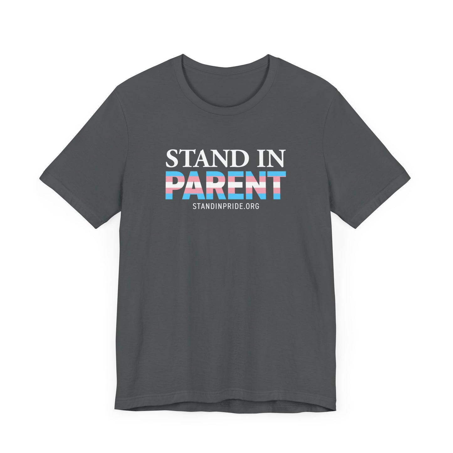 Stand In Parent Trans Flag Tee