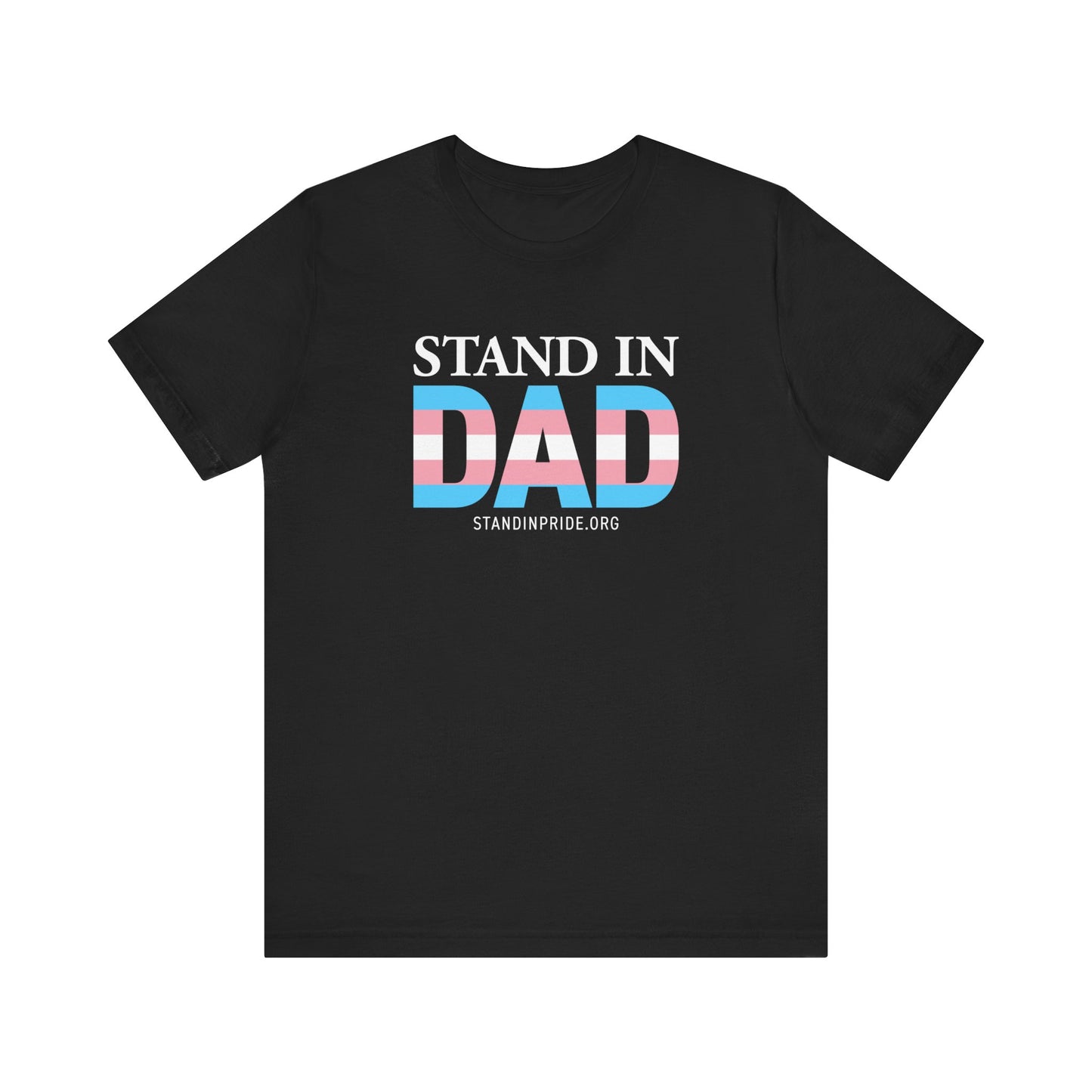 Stand In Dad Trans Flag Tee