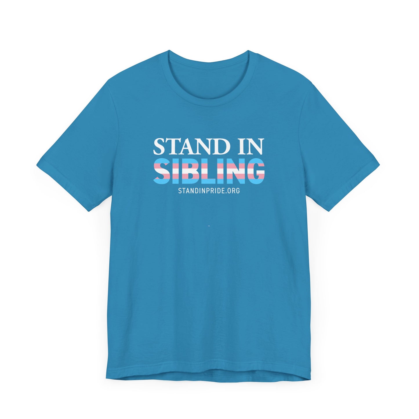 Stand In Sibling Trans Flag Tee