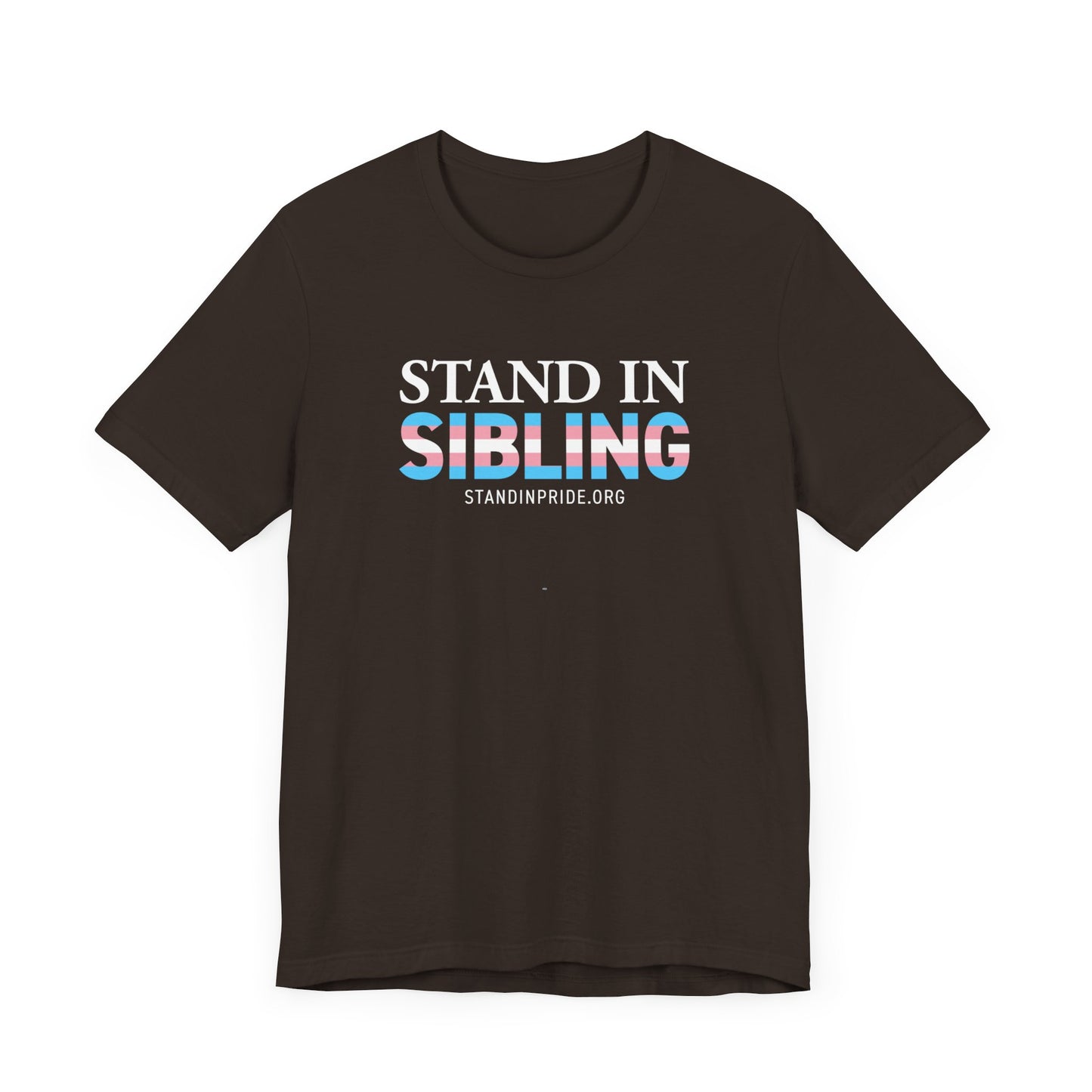 Stand In Sibling Trans Flag Tee