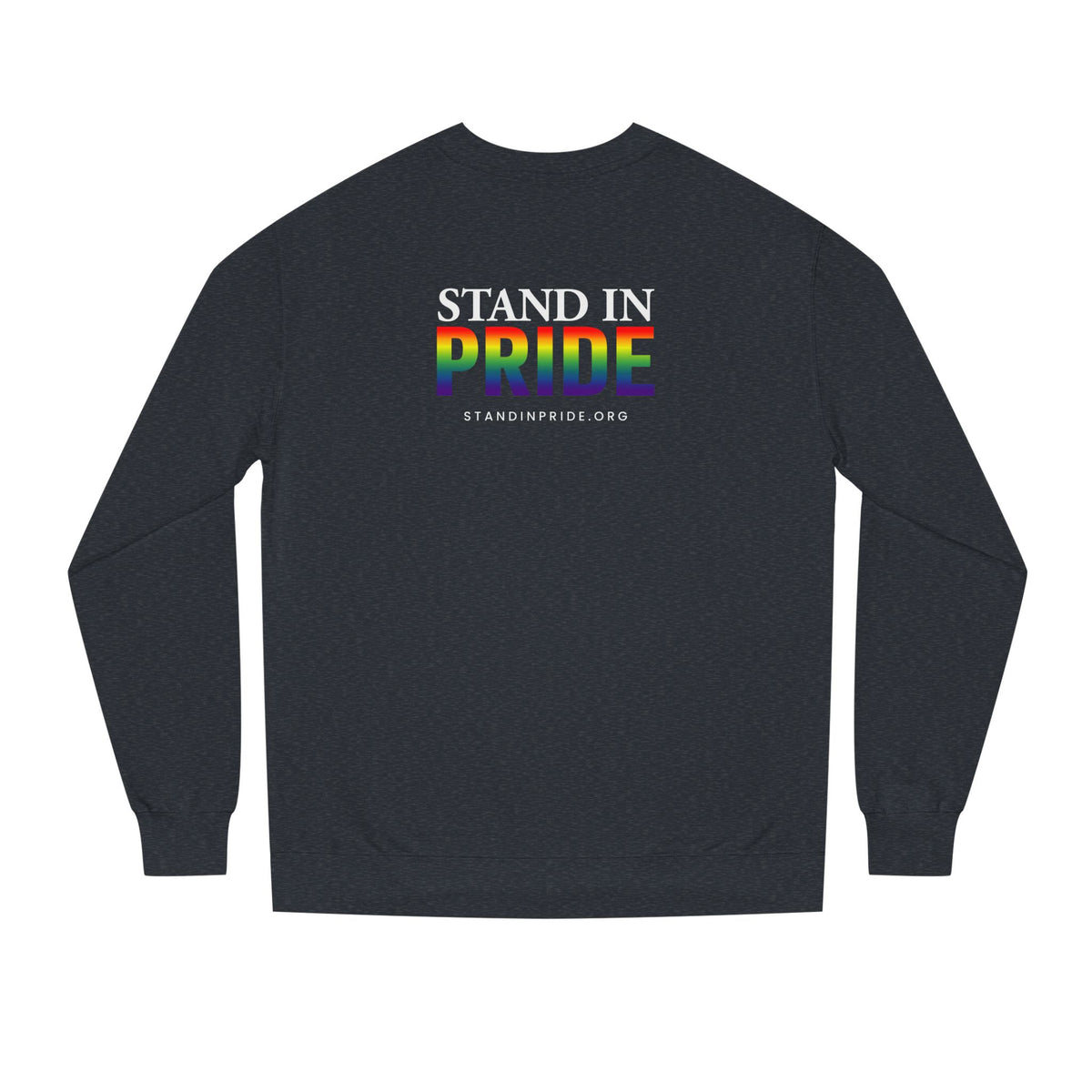 If Your Family Won't, I Will Stand In Pride Sweatshirt